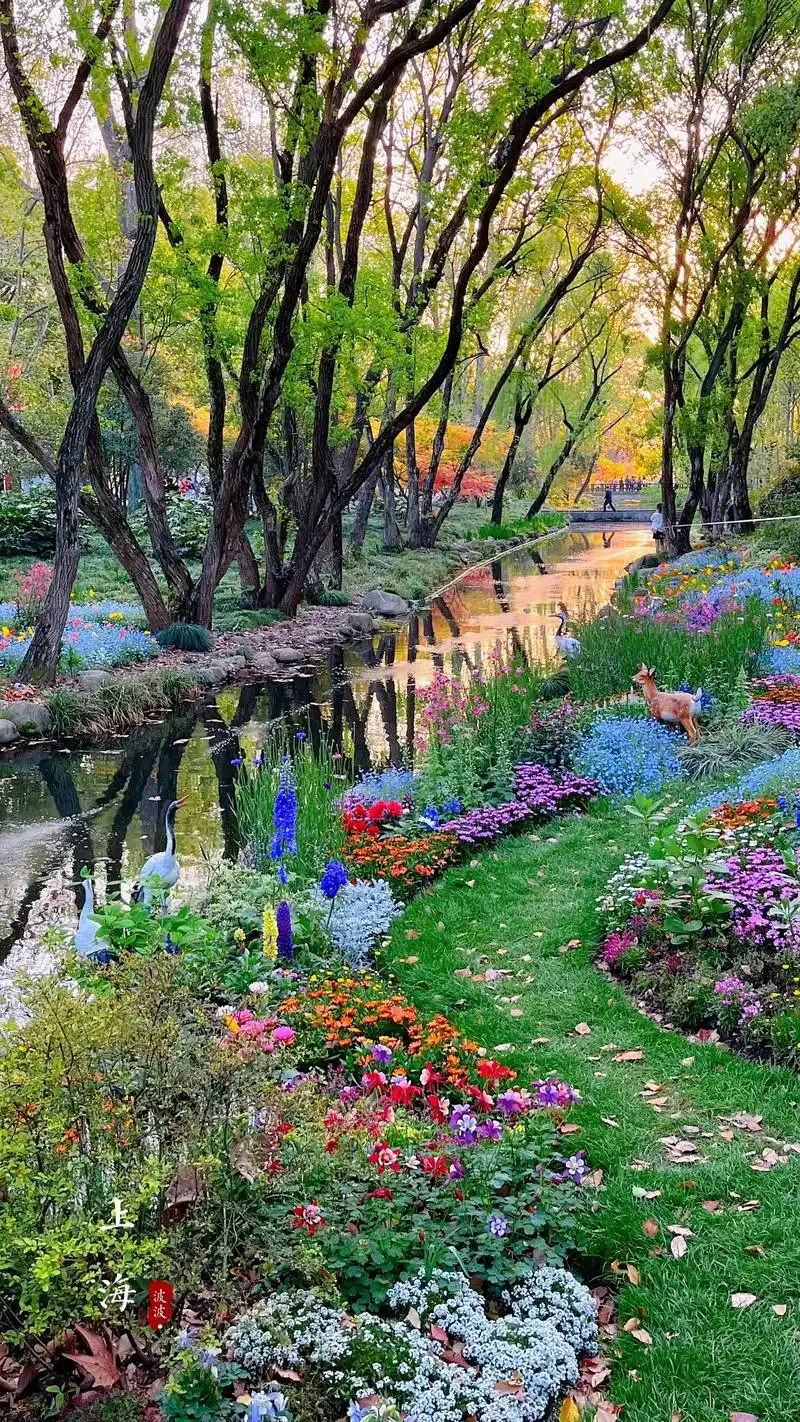 上海共青森林公园有什么好玩的 - 抖音