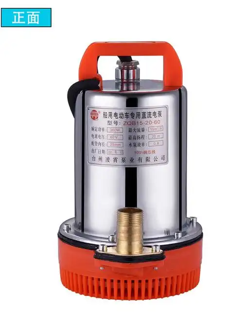 台州凌霄直流潜水泵12v24v48v60v电动车电瓶车抽水泵高扬程潜水泵