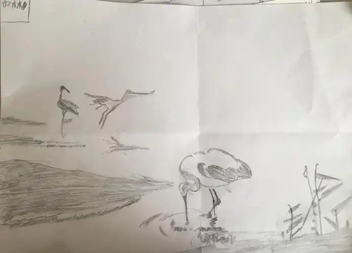 童心绘白鹭,童趣妙笔成