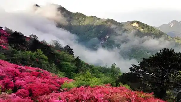 麻城旅游景点大全景点排名