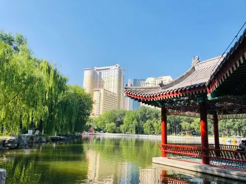 西宁美景一美丽的高原我的家2020.07.28