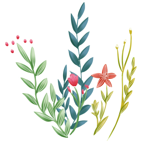 手绘卡通植物花卉素材图片