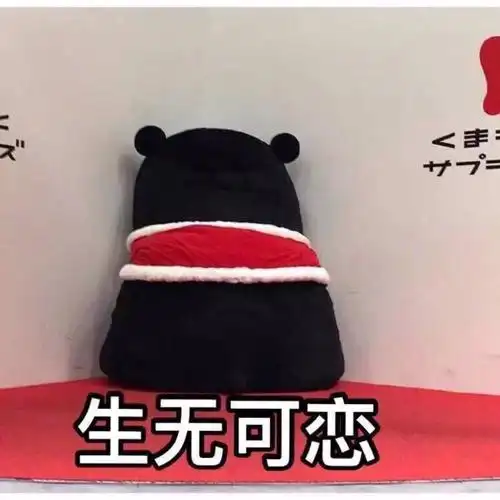 熊本熊表情