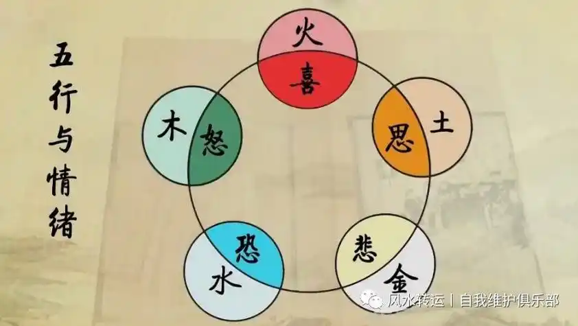 "木火土金水"(三)五行与五脏