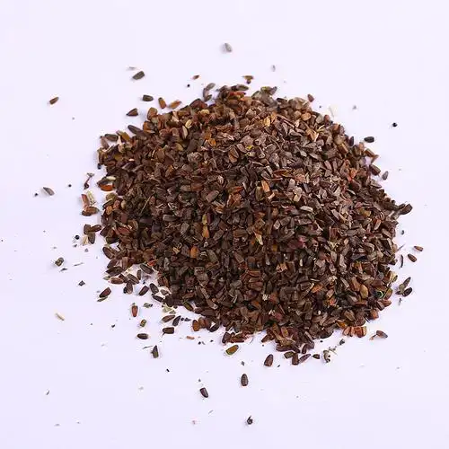 中药材种子 益母草种子 茺蔚子纯新益母草籽 籽种秧苗 可做芽苗菜