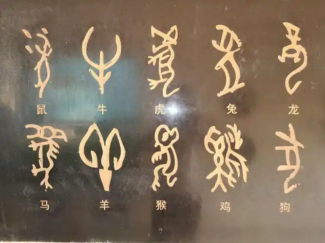 《甲骨文》十二生肖字,中国文字萌芽于新石器时代,发展至商朝产生甲骨