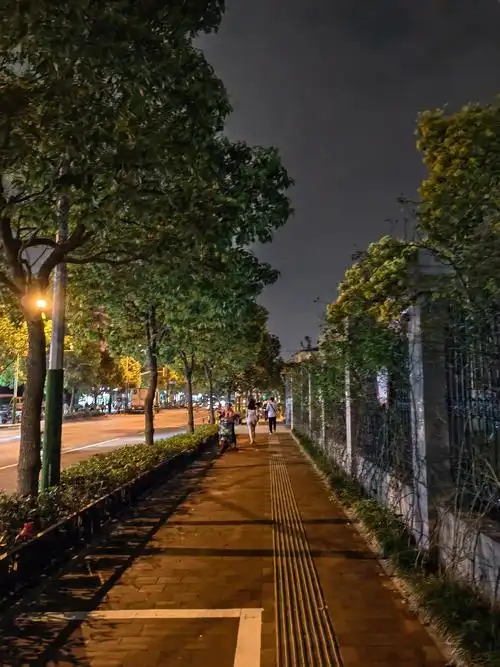 p50pro夜景普通模式对比