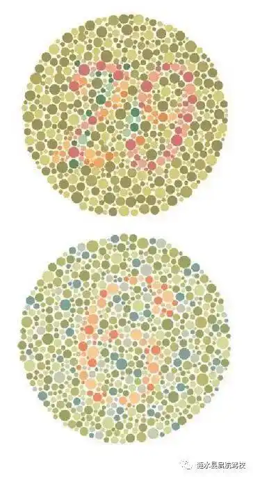 右下肢应当健全; 常见问题汇总 q:哪些疾病者不得申请机动车驾驶证?