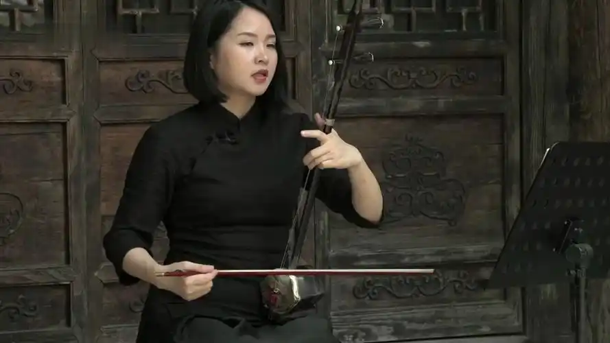 二胡名曲欣赏第22集:《金蛇狂舞》