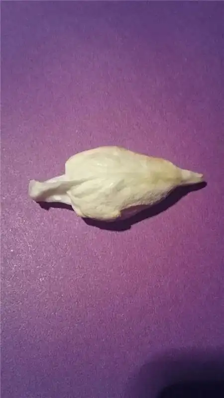 鱼宝值多少钱一克