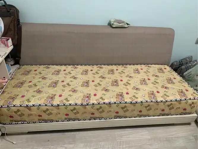 沙发垫椰棕硬垫沙发贵妃垫定做加硬单双三人座榻榻米棕榈硬坐垫 银灰