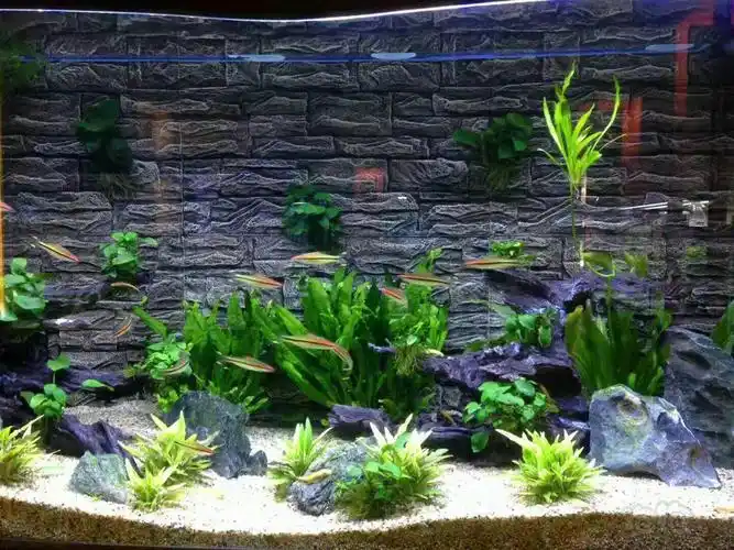 鱼缸背景板3d立体感强鱼缸背景