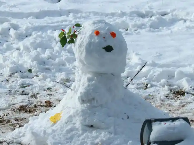 北京初雪一起堆雪人啊好看的皮囊千篇一律有趣的灵魂万里挑一