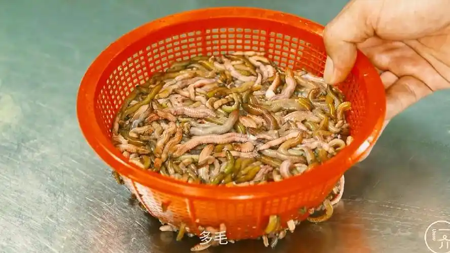 盘点广东五大不可思议美食,难怪说广东人什么都敢吃!