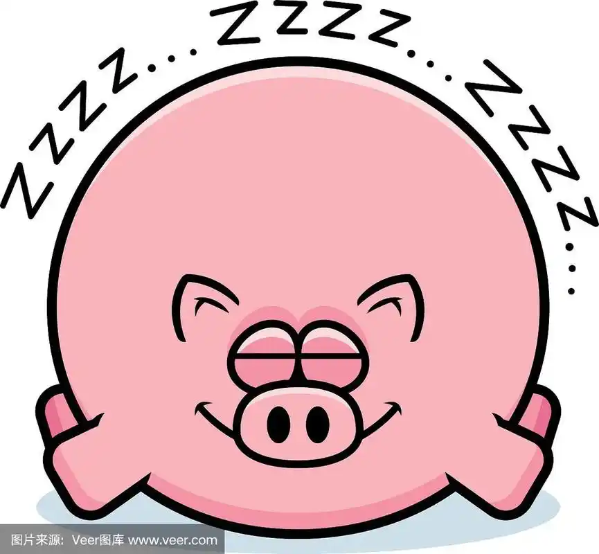 卡通猪睡觉