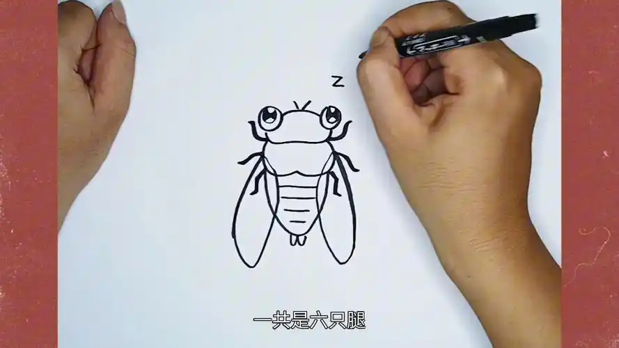 可爱简笔画知了绘画教程
