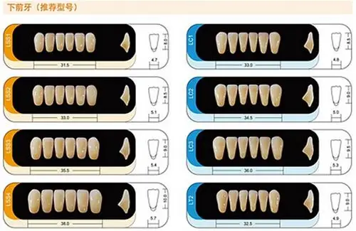 贺利氏 护嵴舒豪华型合成树脂牙