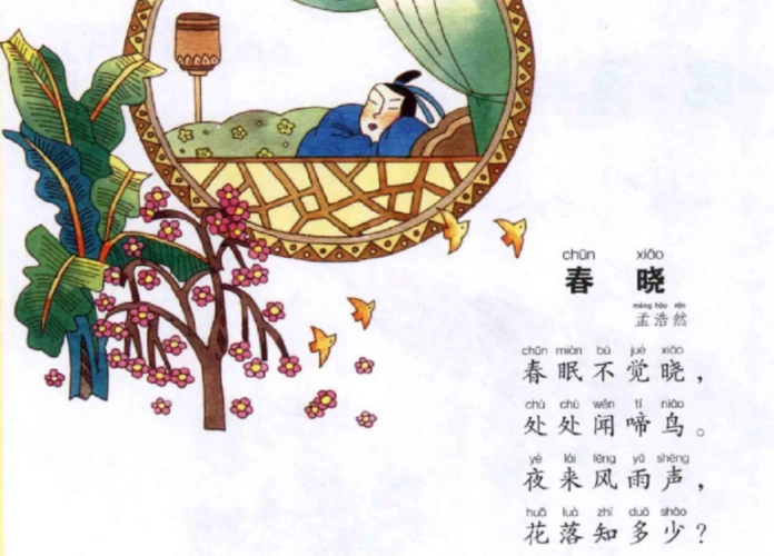孟浩然01《春晓》-春眠不觉晓,处处闻啼鸟.夜来风雨声,花落知多少?