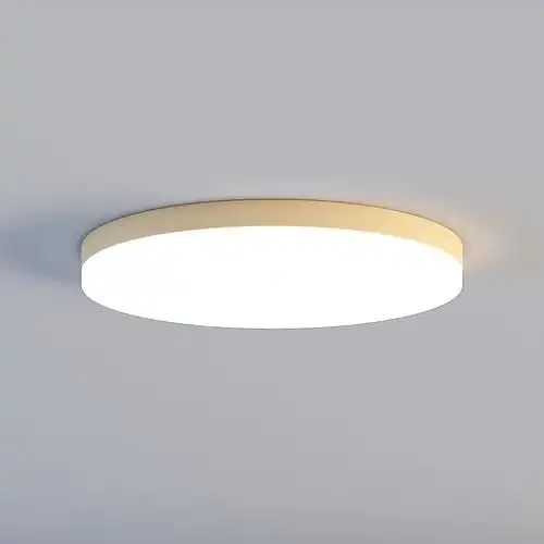 x272-两圈咖啡色兰蒂灯饰新款北欧led圆形吸顶灯大气家用客厅灯具简约