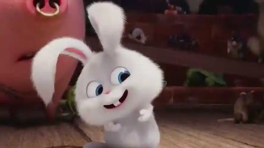 极具反差萌的兔子雪球爱宠大机密