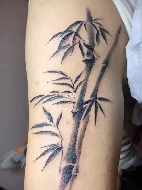 水墨竹子纹身过程