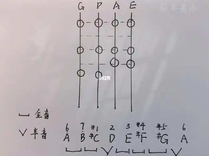 需要注意的地方16615注意保留手指,在练音阶的时候要保留手指