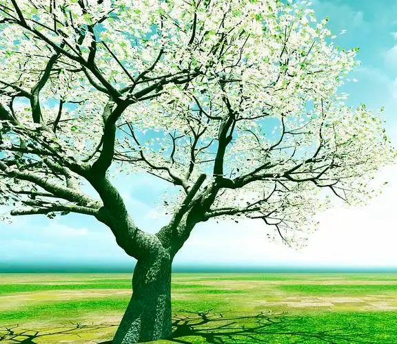 漂亮,花,树图片_漂亮,花,树高清图片_全景视觉