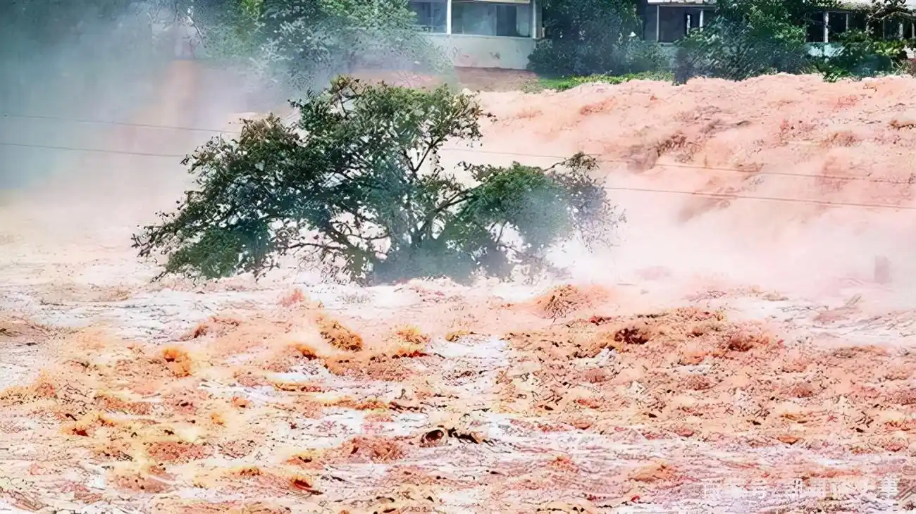 1998年特大洪水中,7岁女孩抱树9小时后获救,长大后决定回馈社会