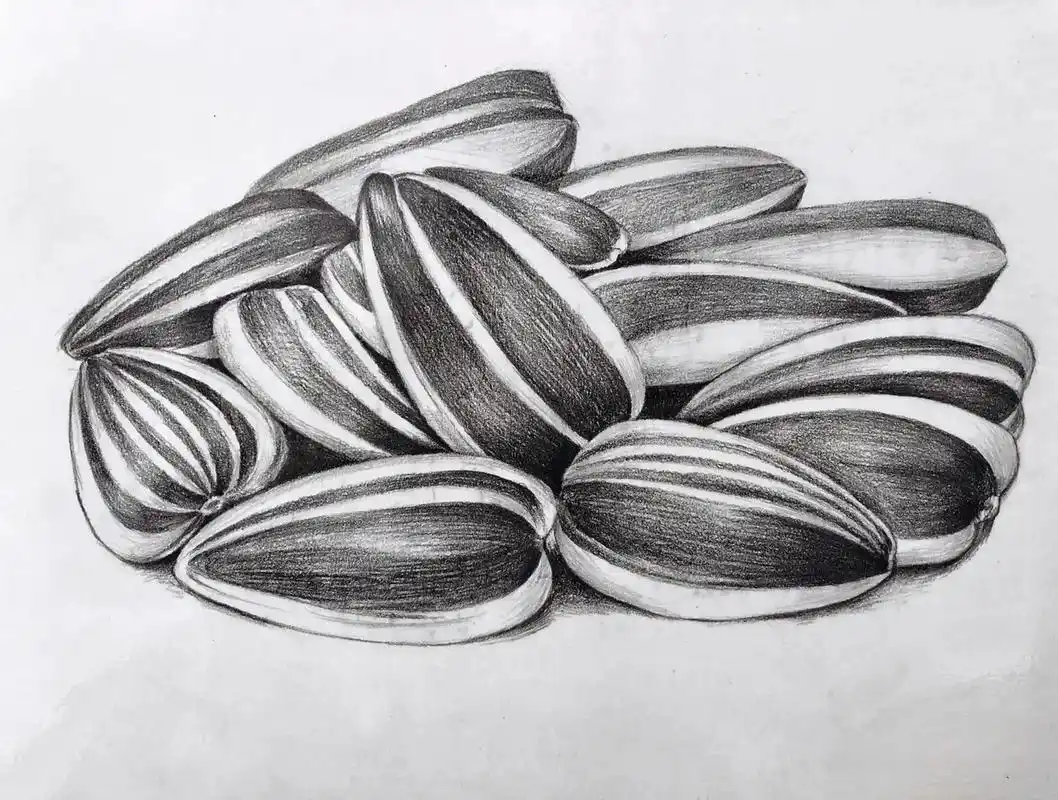一堆瓜子素描质感刻画纹理细节刻画彩铅上色.#创作灵感 #小y - 抖音