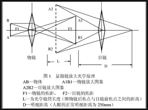 显微镜放大光学原理图