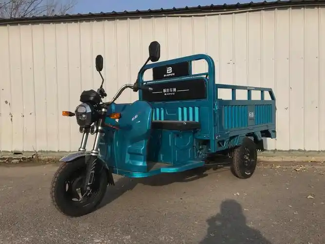 bp1000dzh6标彭牌纯电动前鼓式后鼓式电动正三轮摩托车