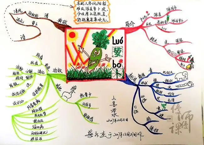 【认证】优师优课博赞思维导图管理师 柴庆杰 第一幅《潍县萝卜》