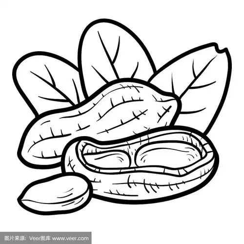 花生,彩色书,褐色,坚果,素食