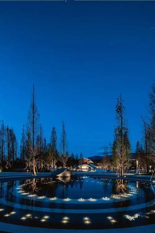 抚仙湖龙湖星空小镇图片