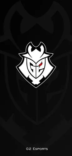 补发g2esports战队简约黑其他分辨率的壁纸
