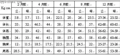 求金毛幼犬各个时期的标准体重和身长