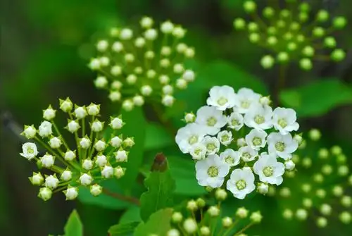 2020镜头中的精彩瞬间