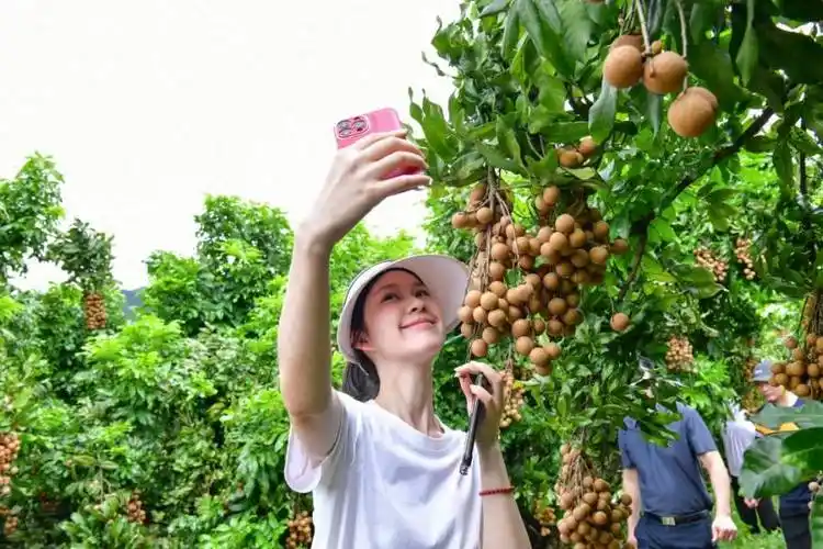 区特色农产品宣传推广系列活动在位于同安区莲花镇锦仔山生态园内举行