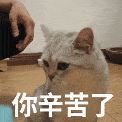 你辛苦了真人聊天动态表情图