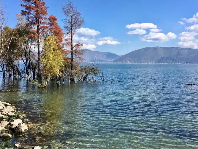 大理湾桥镇的环海西路