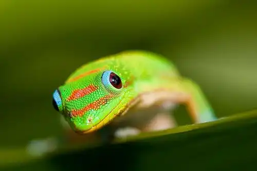 inquiring minds | flickr – 相片分享!