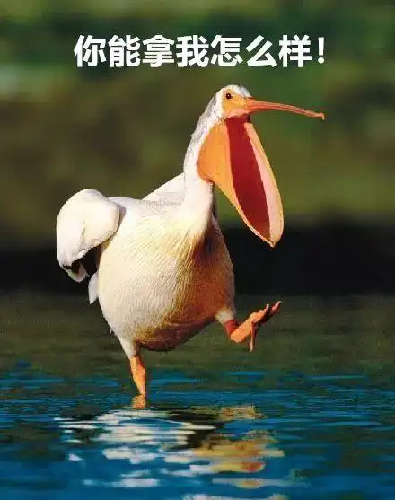 我要生吞活人打扰了