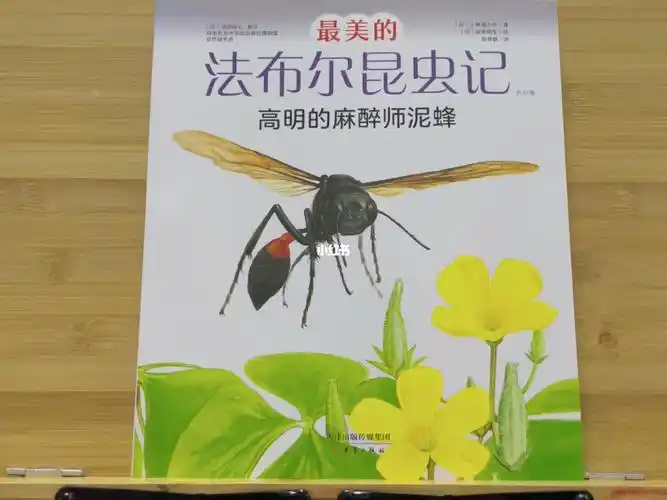 4岁宝宝绘本推荐114最美的法布尔昆虫记