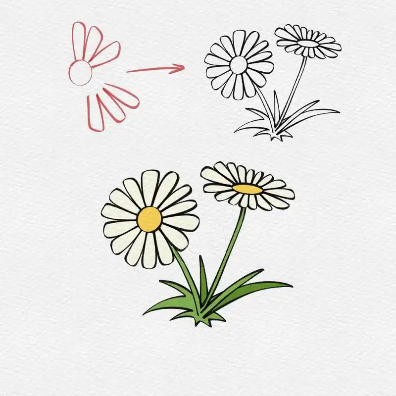 春日花开|花朵简笔画|学会了快去试试吧.#图文伙伴计划202 - 抖音