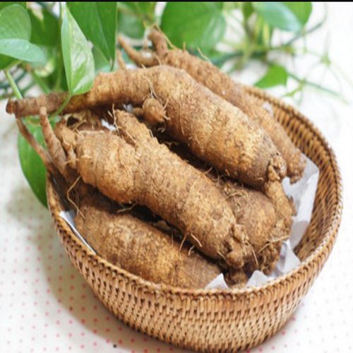 东北延边新鲜带皮养殖沙参500克玉竹麦冬汤山其它