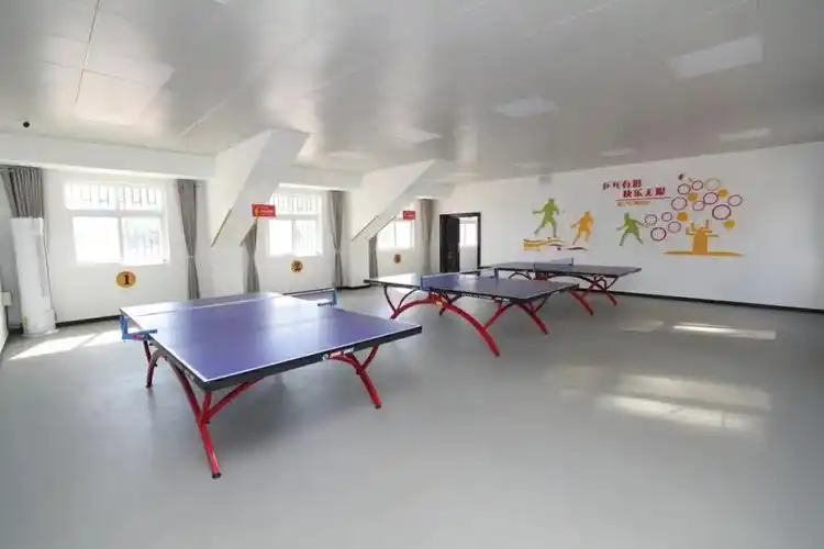 文体活动体验按照疫情防控要求实施闭馆全国范围内文体场馆2020年初戳