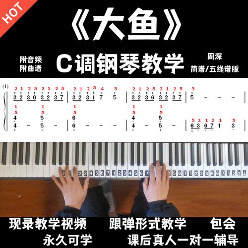 大鱼 钢琴教学视频 零基础轻松学 小白包学会 周深 简谱版 c调