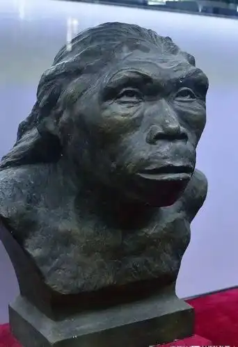 醉翁专栏屈建修蓝田猿人遗址寻觅