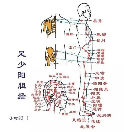 雨桐国际肝经不通的症状肝经不通如何调理