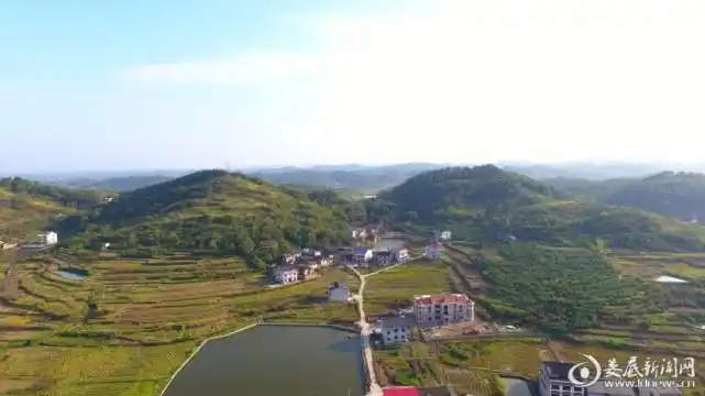 青树坪镇全力推动林长制落地见效